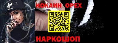 гидра Моздок