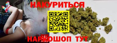 гидра Моздок