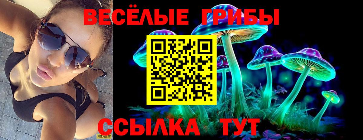 Галлюциногенные грибы Psilocybe  Вход с VPN  Гудермес 